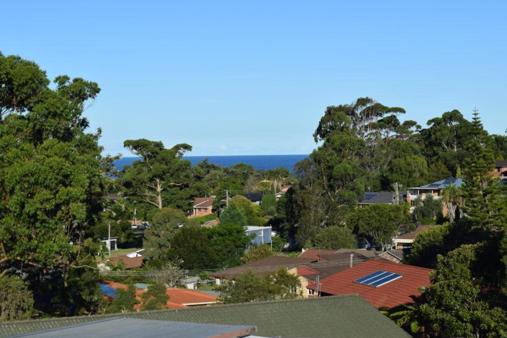 Mollymook Caravan Park Zewnętrze zdjęcie