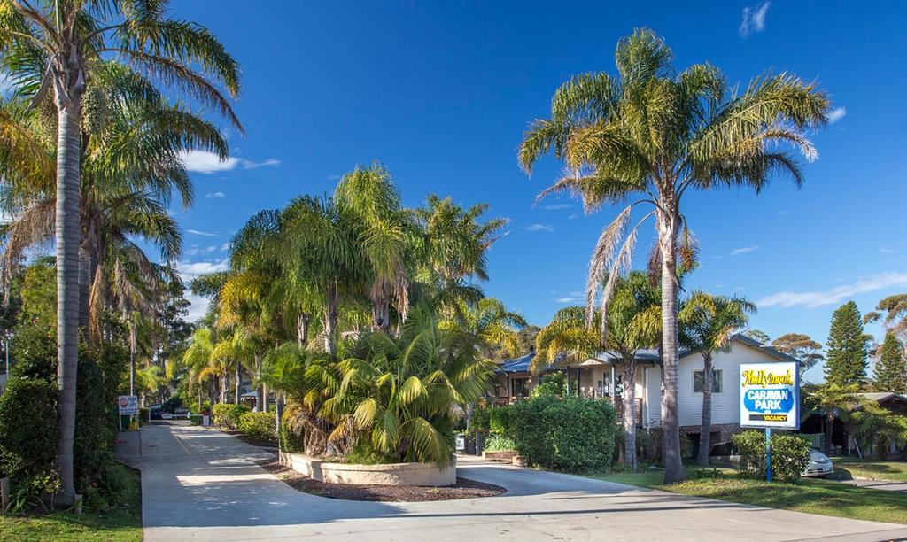 Mollymook Caravan Park Zewnętrze zdjęcie