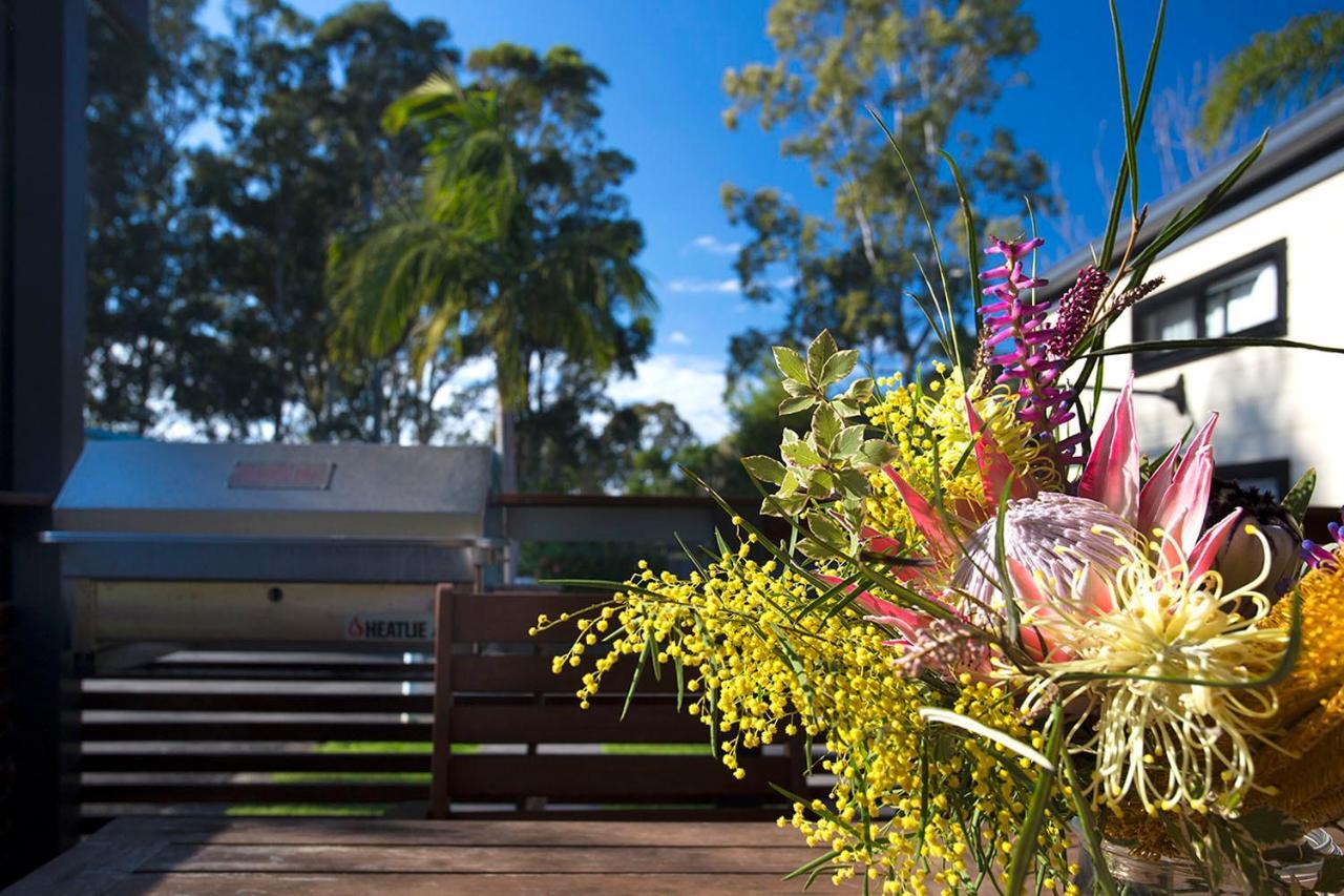 Mollymook Caravan Park Zewnętrze zdjęcie